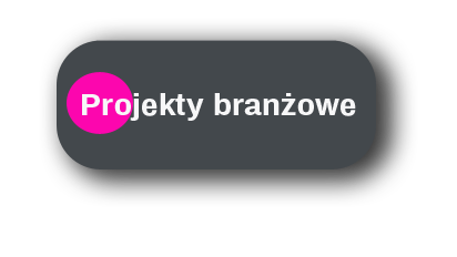 projekt kompleksowy wnętrz projektowanie wnętrz projektant wnętrz projektozaur